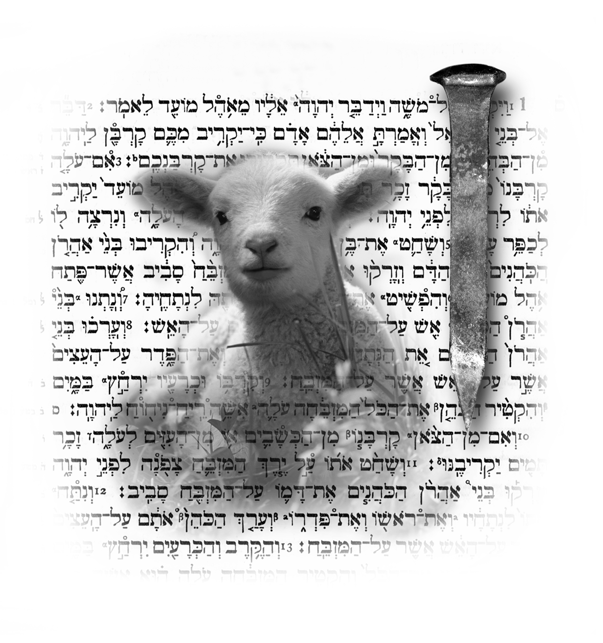 Messianic Pictures in the Temple Sacrificial System