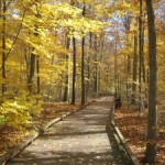 autumn-trails-1439723-m