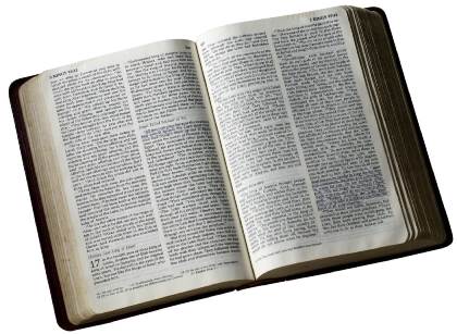 How Much Do You Read Your Bible?