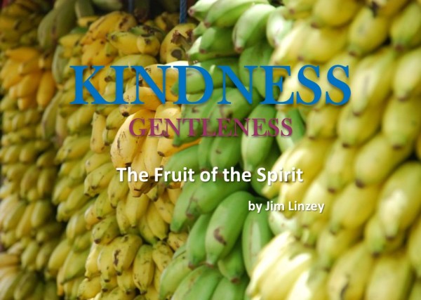 The Fruit of the Spirit: Kindness
