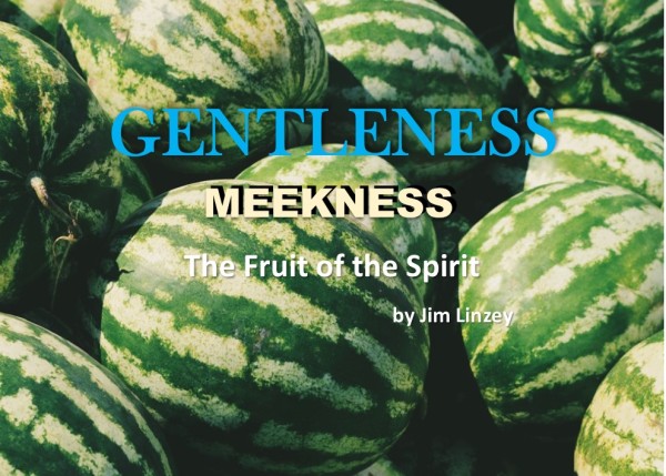 The Fruit of the Spirit: Gentleness