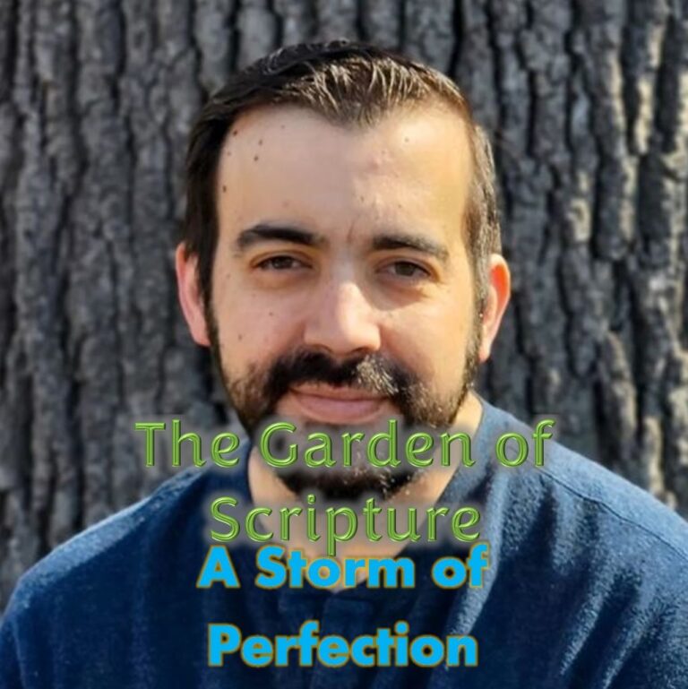 Tim Tschida: The Garden of Scripture, A Storm of Perfection